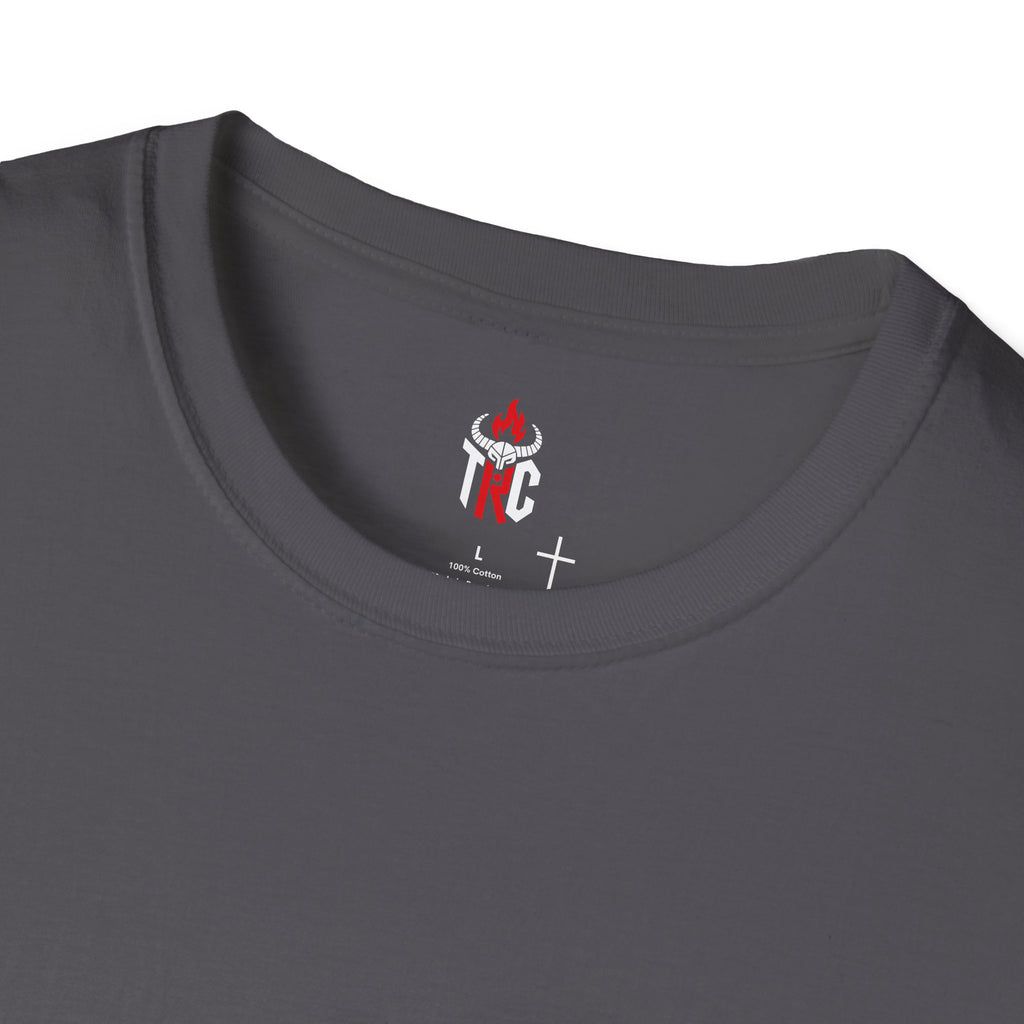 I Survived It T-Shirt — Funny Resilience Graphic Tee